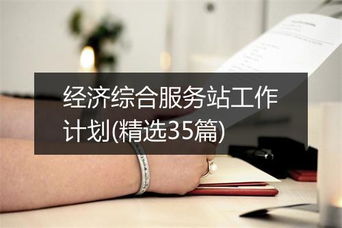 经济综合服务站工作计划(精选35篇)