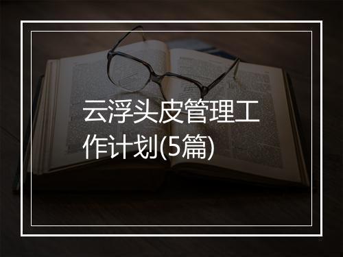 云浮头皮管理工作计划(5篇)