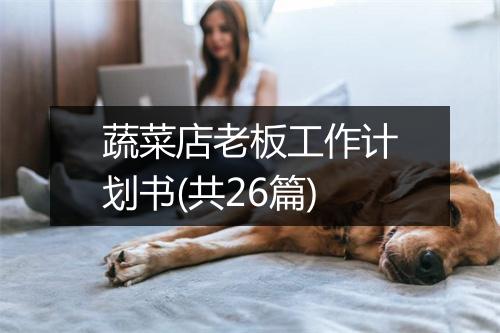蔬菜店老板工作计划书(共26篇)