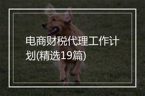 电商财税代理工作计划(精选19篇)