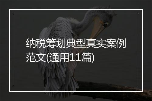 纳税筹划典型真实案例范文(通用11篇)