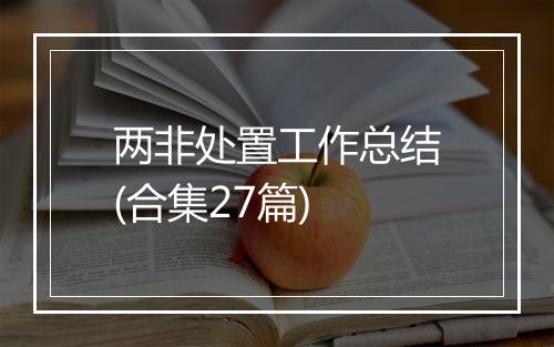 两非处置工作总结(合集27篇)