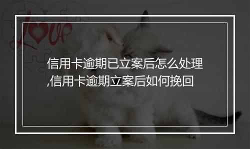信用卡逾期已立案后怎么处理,信用卡逾期立案后如何挽回