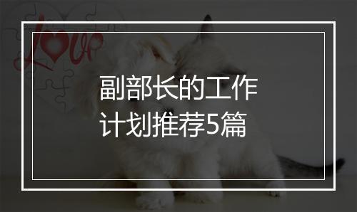 副部长的工作计划推荐5篇