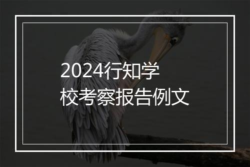 2024行知学校考察报告例文