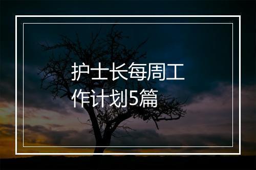 护士长每周工作计划5篇