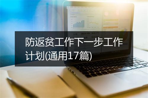 防返贫工作下一步工作计划(通用17篇)