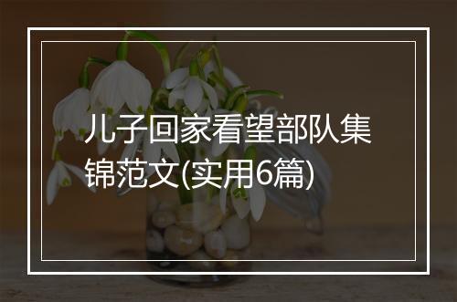 儿子回家看望部队集锦范文(实用6篇)