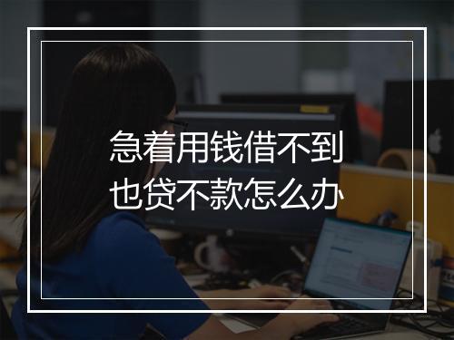 急着用钱借不到也贷不款怎么办
