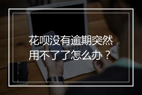 花呗没有逾期突然用不了了怎么办？