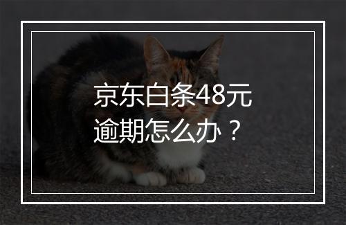 京东白条48元逾期怎么办？