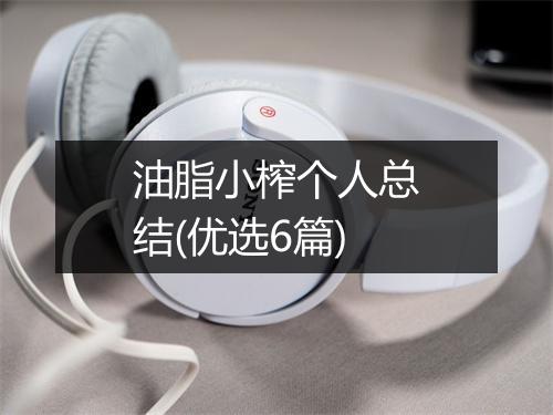 油脂小榨个人总结(优选6篇)