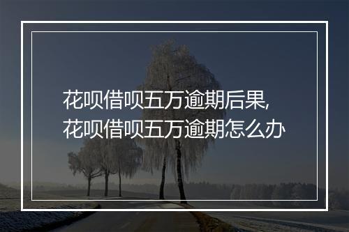 花呗借呗五万逾期后果,花呗借呗五万逾期怎么办