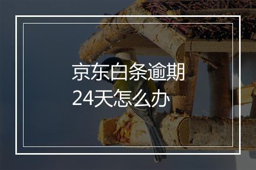 京东白条逾期24天怎么办