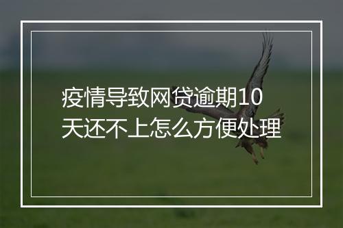 疫情导致网贷逾期10天还不上怎么方便处理