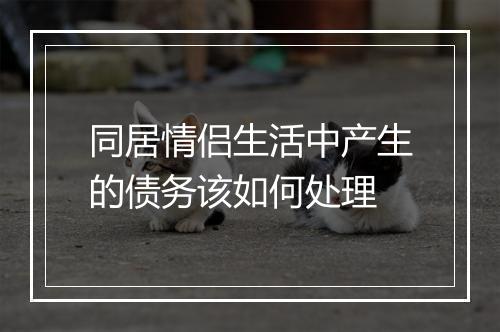 同居情侣生活中产生的债务该如何处理