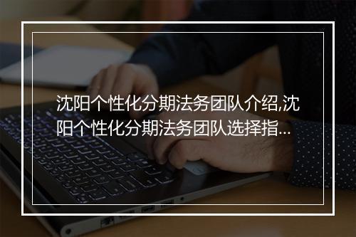 沈阳个性化分期法务团队介绍,沈阳个性化分期法务团队选择指南