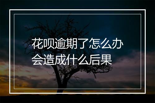 花呗逾期了怎么办会造成什么后果
