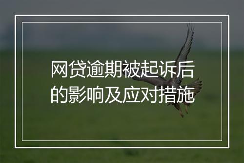 网贷逾期被起诉后的影响及应对措施