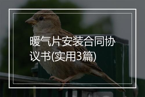 暖气片安装合同协议书(实用3篇)