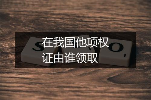 在我国他项权证由谁领取