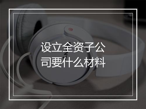 设立全资子公司要什么材料