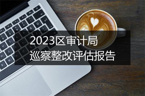 2023区审计局巡察整改评估报告