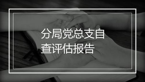 分局党总支自查评估报告