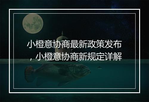 小橙意协商最新政策发布，小橙意协商新规定详解