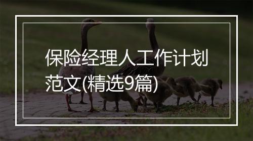 保险经理人工作计划范文(精选9篇)