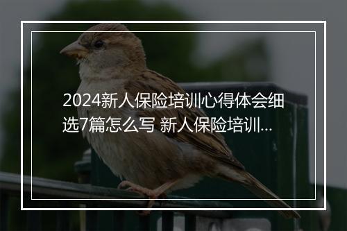 2024新人保险培训心得体会细选7篇怎么写 新人保险培训心得体会细选7篇