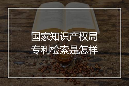 国家知识产权局专利检索是怎样