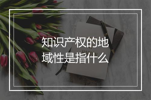 知识产权的地域性是指什么