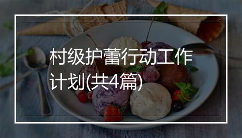 村级护蕾行动工作计划(共4篇)