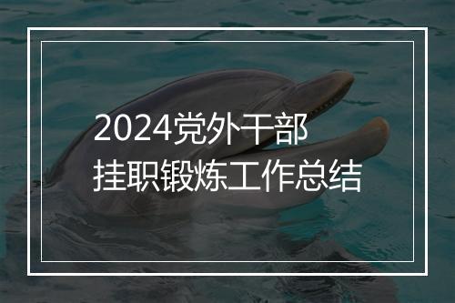 2024党外干部挂职锻炼工作总结