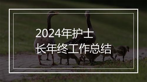 2024年护士长年终工作总结