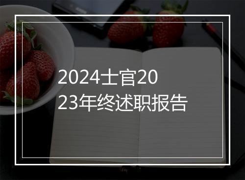 2024士官2023年终述职报告