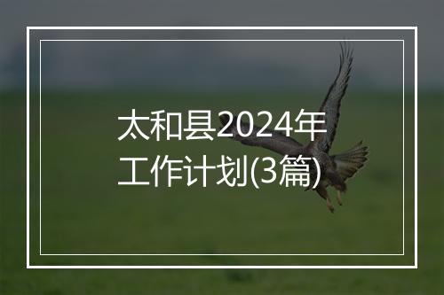 太和县2024年工作计划(3篇)