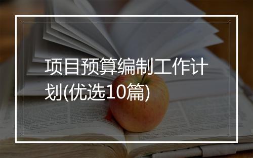 项目预算编制工作计划(优选10篇)