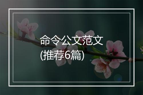 命令公文范文(推荐6篇)