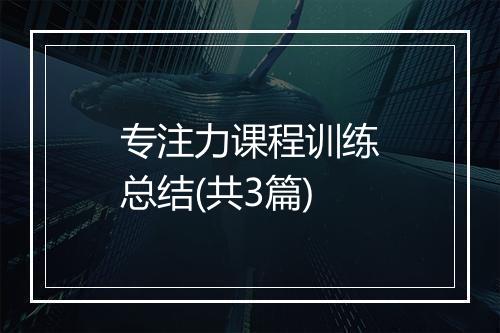 专注力课程训练总结(共3篇)