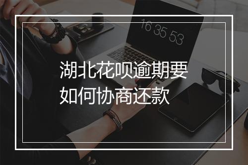 湖北花呗逾期要如何协商还款