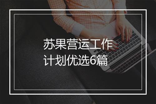 苏果营运工作计划优选6篇