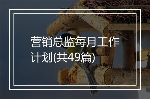 营销总监每月工作计划(共49篇)