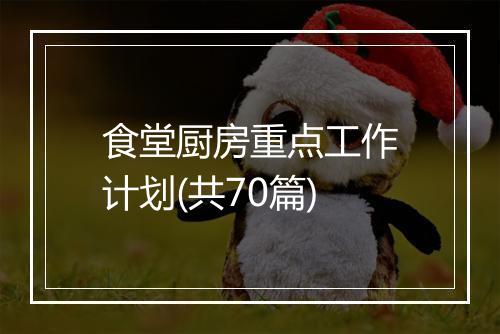 食堂厨房重点工作计划(共70篇)