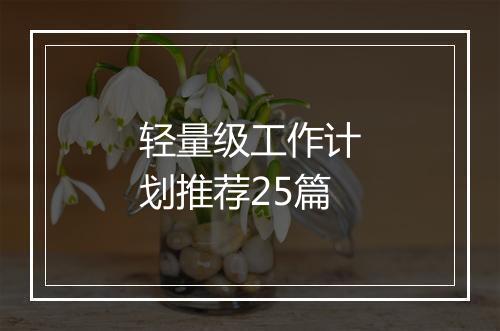 轻量级工作计划推荐25篇