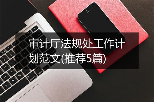 审计厅法规处工作计划范文(推荐5篇)