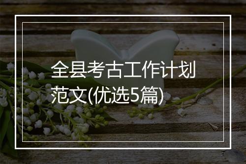 全县考古工作计划范文(优选5篇)