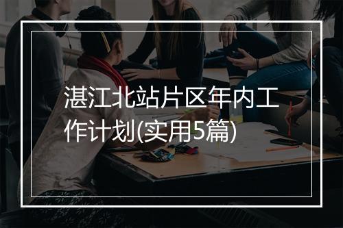 湛江北站片区年内工作计划(实用5篇)