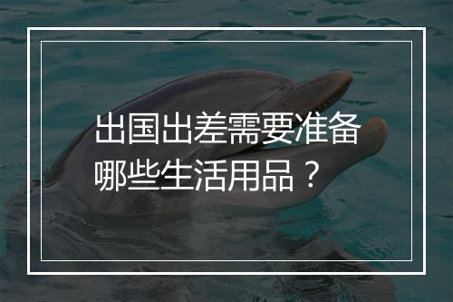 出国出差需要准备哪些生活用品？
